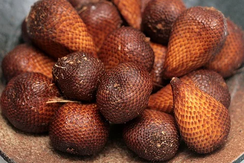 Agrowisata Petik Salak Pondoh Yogyakarta Organik