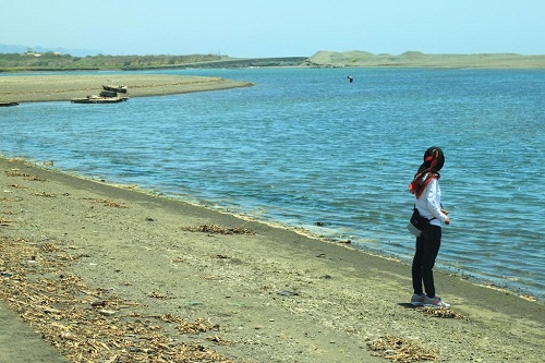 Menikmati Wisata Pantai Jogja di Mangrove Baros, Bantul