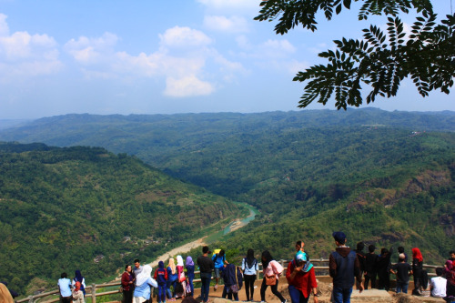 Destinasi Wisata di Yogyakarta Dari Kawasan Wisata Alam Mangunan, Menikmati Indahnya Ketinggian Bantul