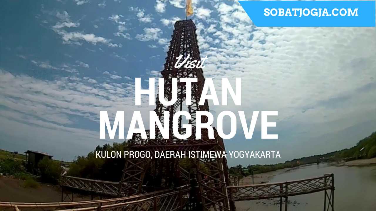 Eiffel Tower di Hutan Mangrove Pantai Pasir Kadilangu Kulon Progo