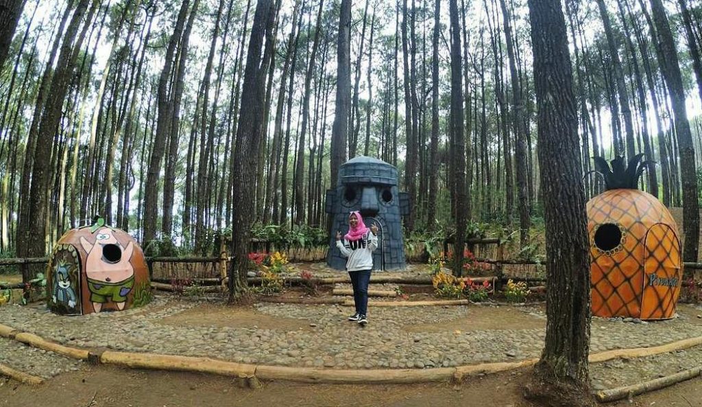 Hutan Pinus Asri: Lokasi Wisata Hits di Jogja Terbaru - Ada Bikini Bottom City