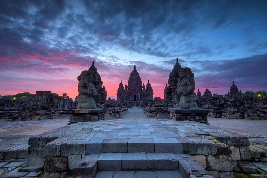 Tempat Wisata Bunga Sakura Di Jogja