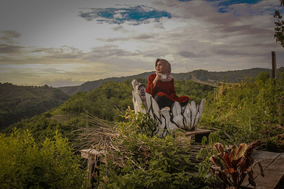 Bukit Mojo Gumelem Nikmatnya wisata Alam Jogja yang Takan Terlupakan