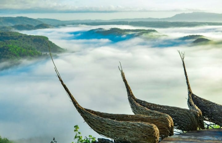 Geoforest Watu Payung Gunung Kidul, Tempat Wisata Terbaru Rekomen