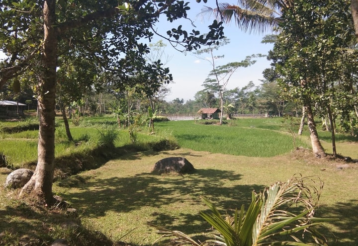 Desa Wisata Ledok Sambi: Cocok Buat Family Gathering atau Outbound