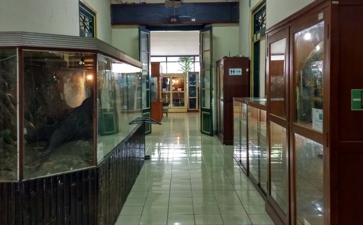 Museum Biologi UGM: Untuk Anda Yang Ingin Menambah Wawasan