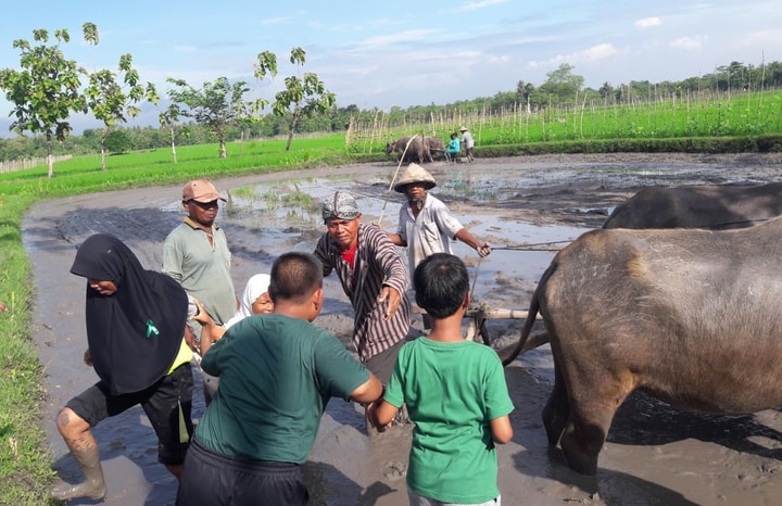 Museum Tani Jawa: Belajar Teknik Pertanian Dari Masa Lalu Hingga Kini