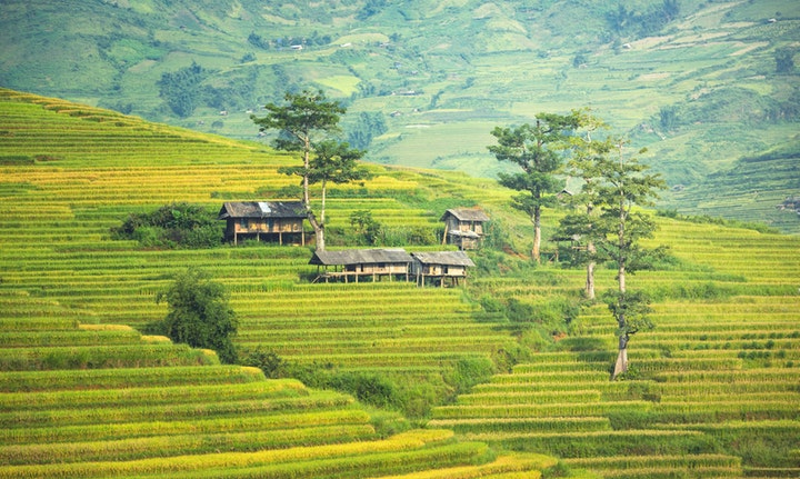 Apa itu BUMDes? Bagaimana Fungsi dan Impact-nya Terhadap Desa Kita