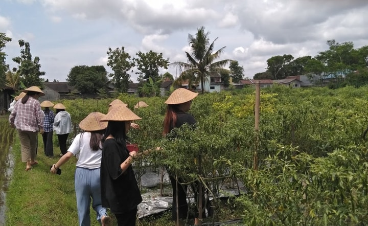 Desa Wisata Tanjung: Memiliki Visi Hijau Desaku dan Lestari Budayaku